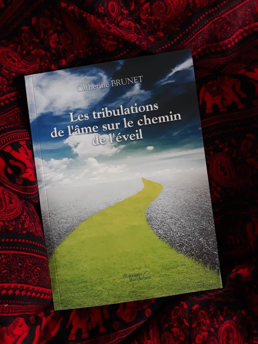 Livre numérique - Les tribulations de l’âme sur le chemin de l’éveil