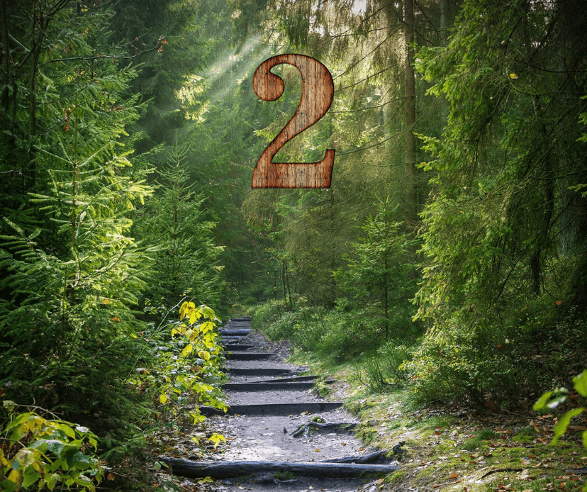 Atelier EXPRESS : Ton Chemin de vie 2