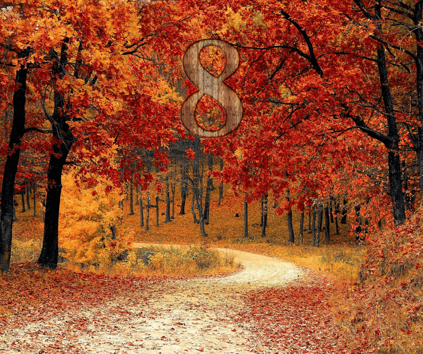 Atelier EXPRESS : Ton Chemin de vie 8